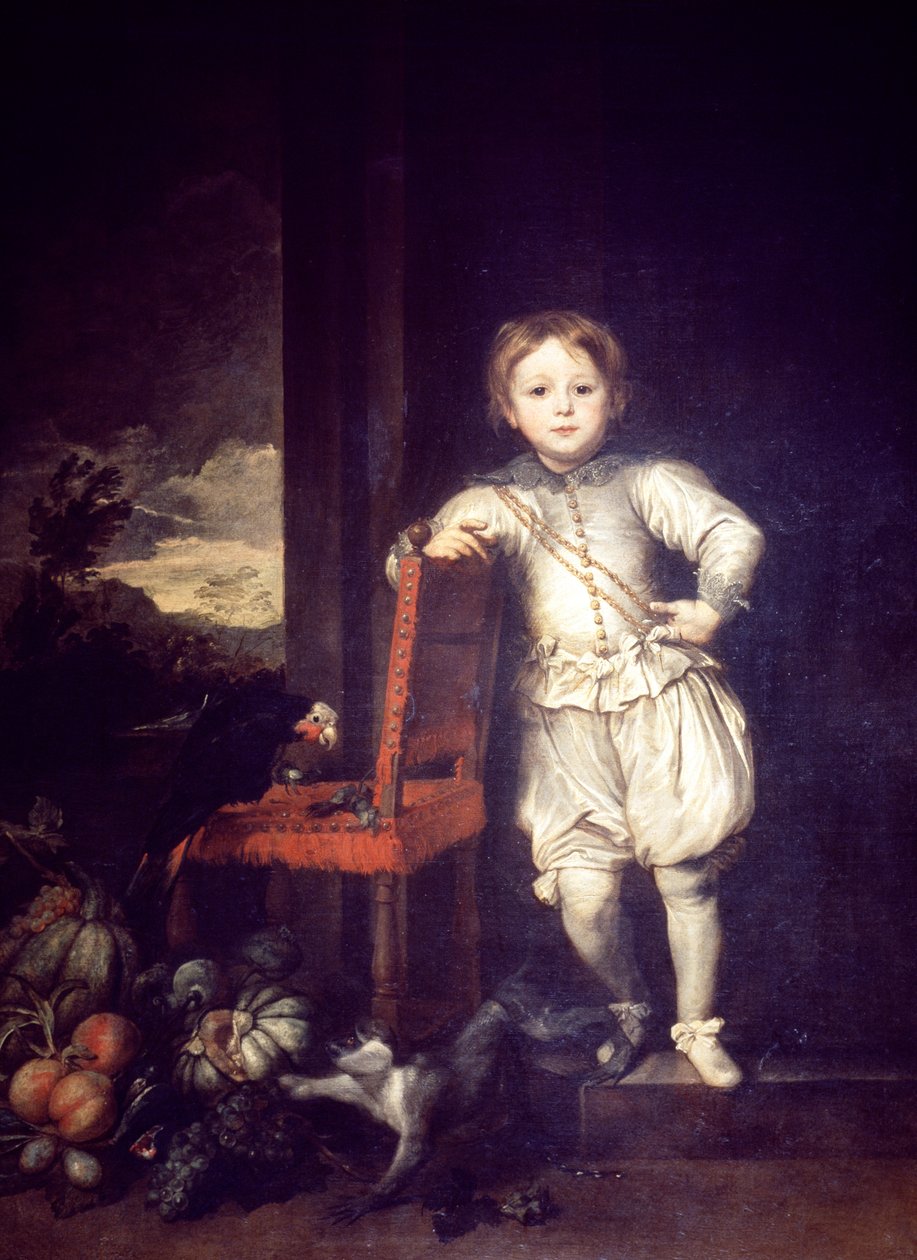 Dziecko w białej sukni – Anthony van Dyck (1599-1641) autorstwa Anthony van Dyck