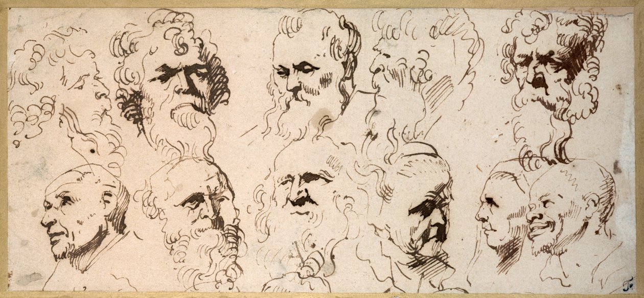 Jedenaście badań głowy (długopis i brązowy tusz na papierze) autorstwa Anthony van Dyck