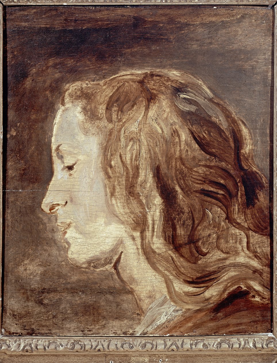Gabinet Głowy, I połowa XVII w. (olej na desce) autorstwa Anthony van Dyck