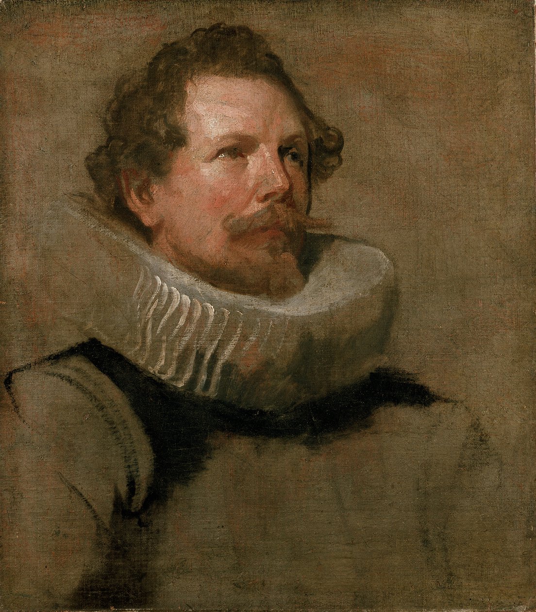 Głowa brodatego mężczyzny noszącego kryzę, XVII wiek autorstwa Anthony van Dyck