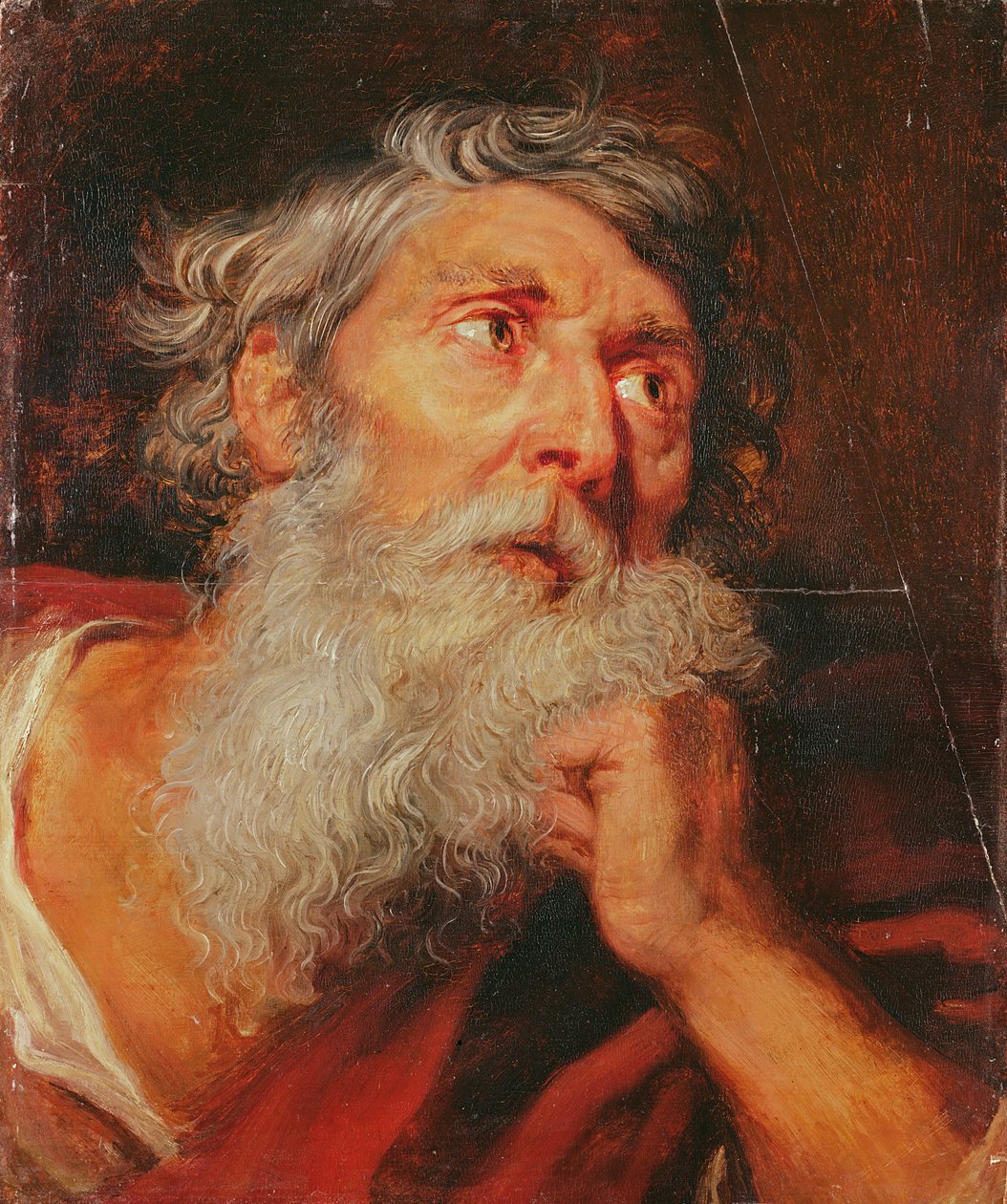 Төлөөлөгчийн тэргүүн autorstwa Anthony van Dyck