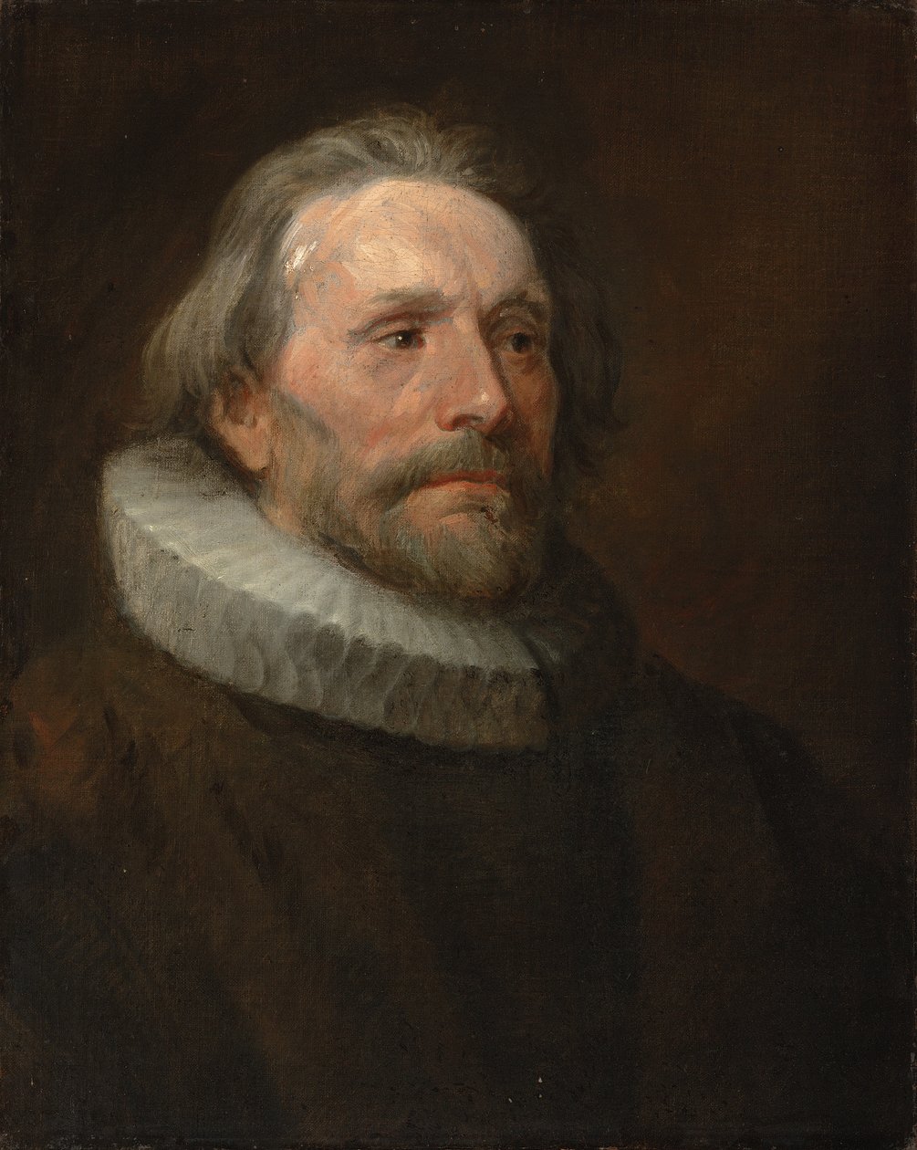 Studium głowy mężczyzny w kryzie autorstwa Anthony van Dyck