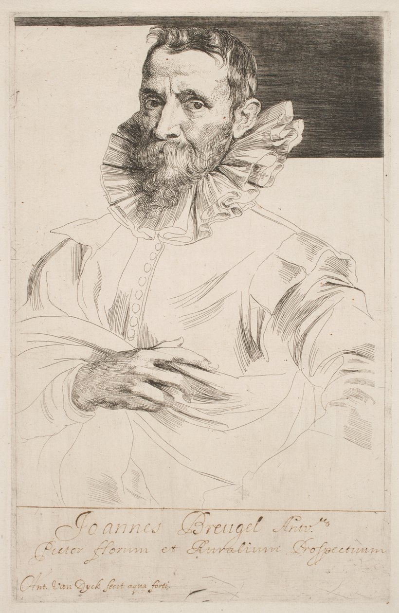 Jan Brueghel, ok. 1632 (trawienie) autorstwa Anthony van Dyck