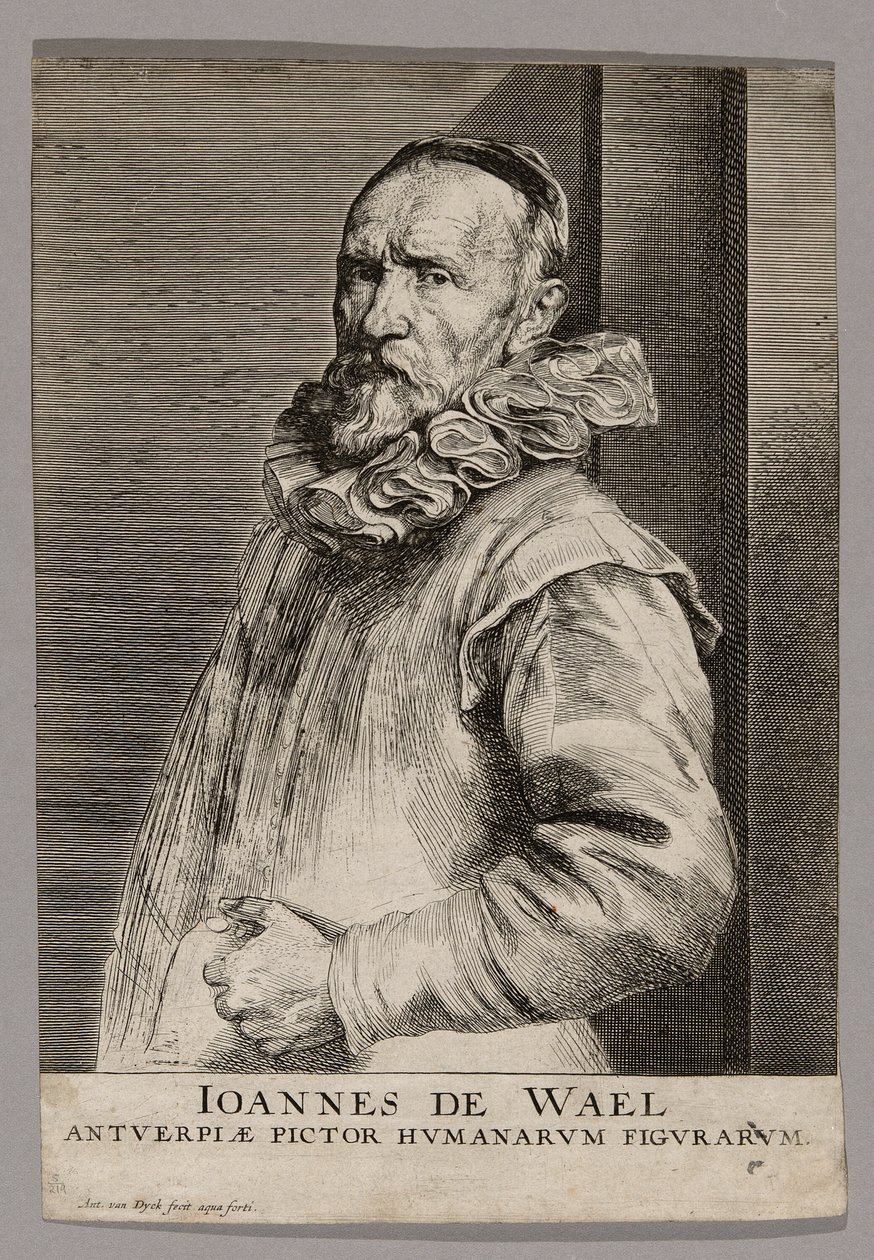 Jan de Wael autorstwa Anthony van Dyck