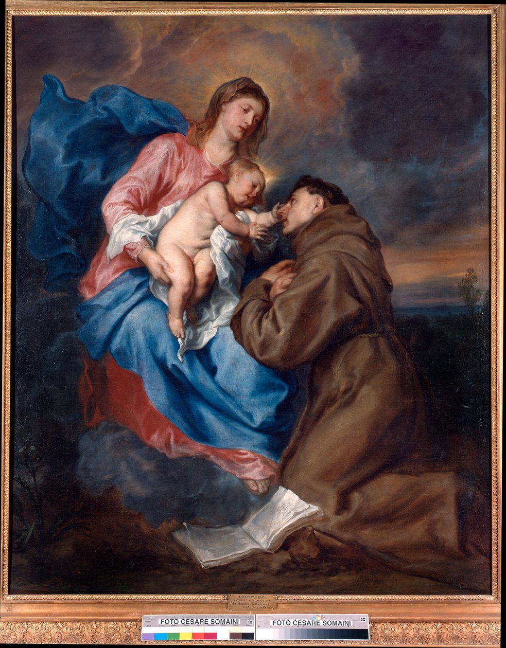 Madonna z Dzieciątkiem ze św. Antonim Padewskim autorstwa Anthony van Dyck