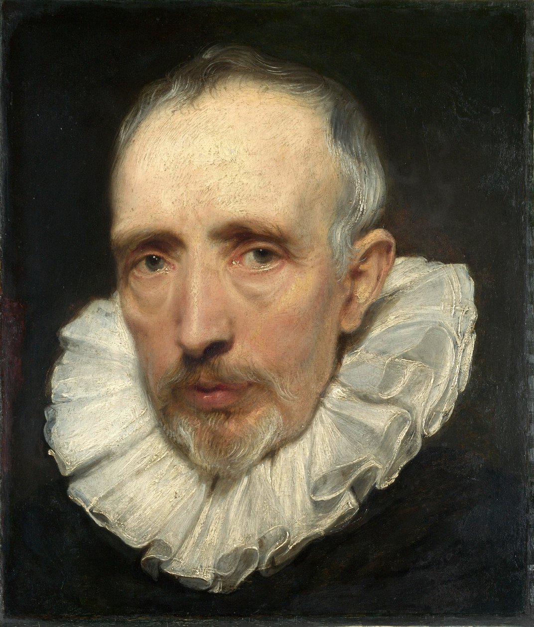 Portret Cornelisa van der Geesta autorstwa Anthony van Dyck