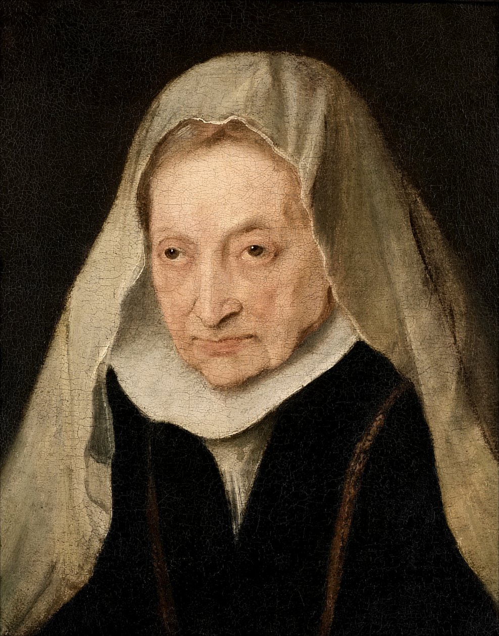 Sofonisba Anguissola (Cremona 1530/6-1625) autorstwa Anthony van Dyck