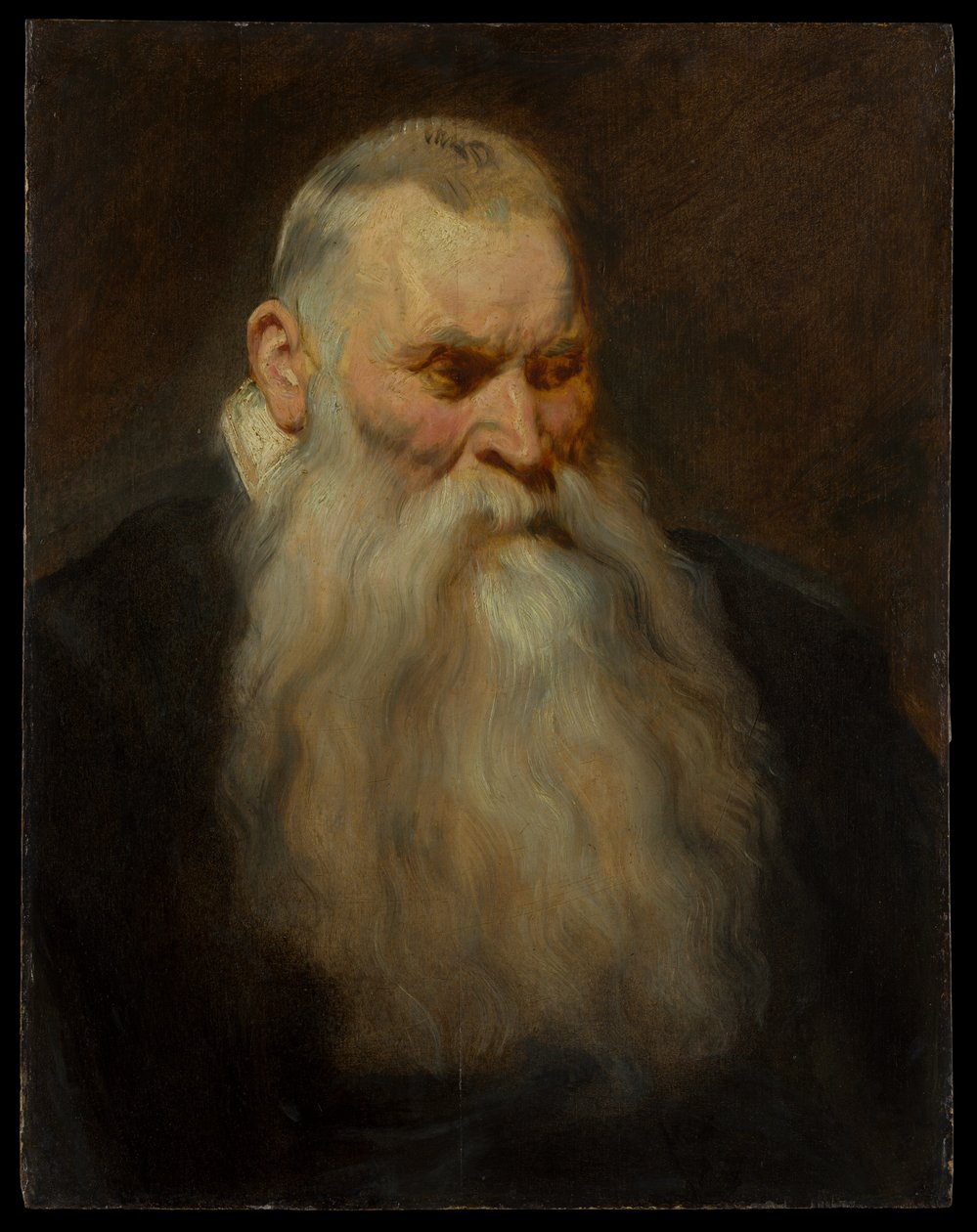 Studium głowy starego mężczyzny z białą brodą autorstwa Anthony van Dyck