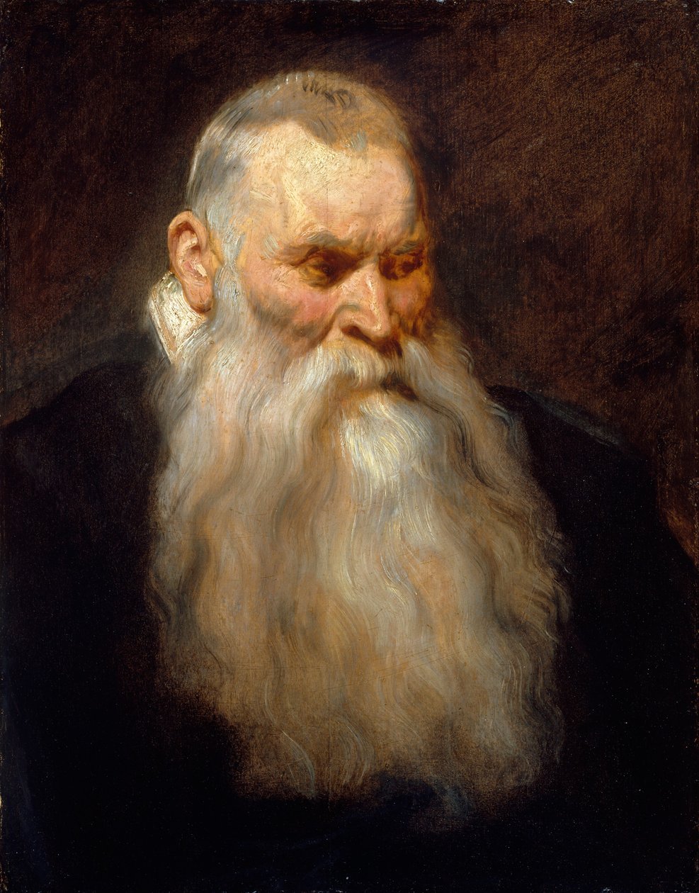Gabinet Głowa starca z białą brodą, ok. godz. 1617-20. autorstwa Anthony van Dyck