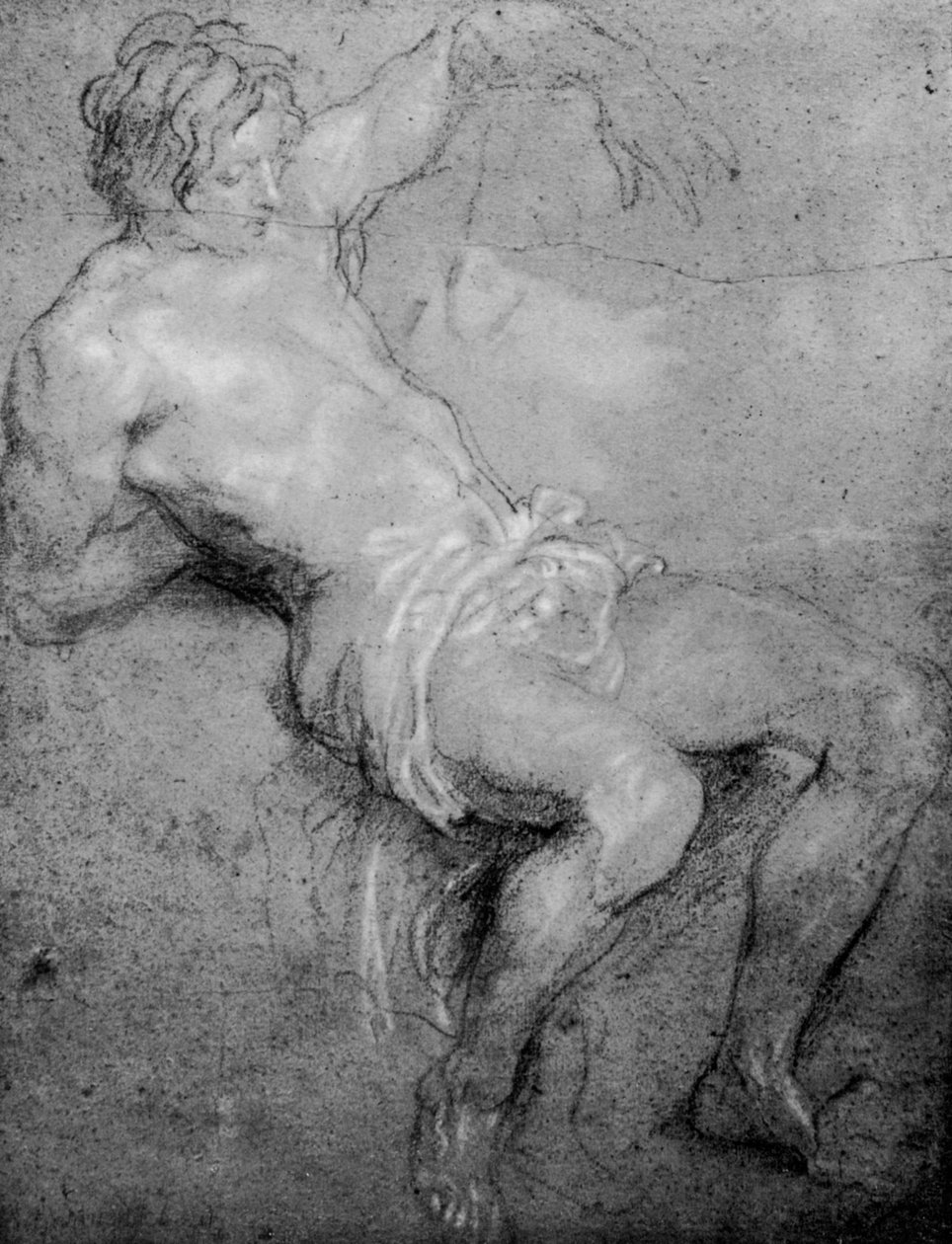 Studium dla św. Sebastiana, 1913. autorstwa Anthony van Dyck