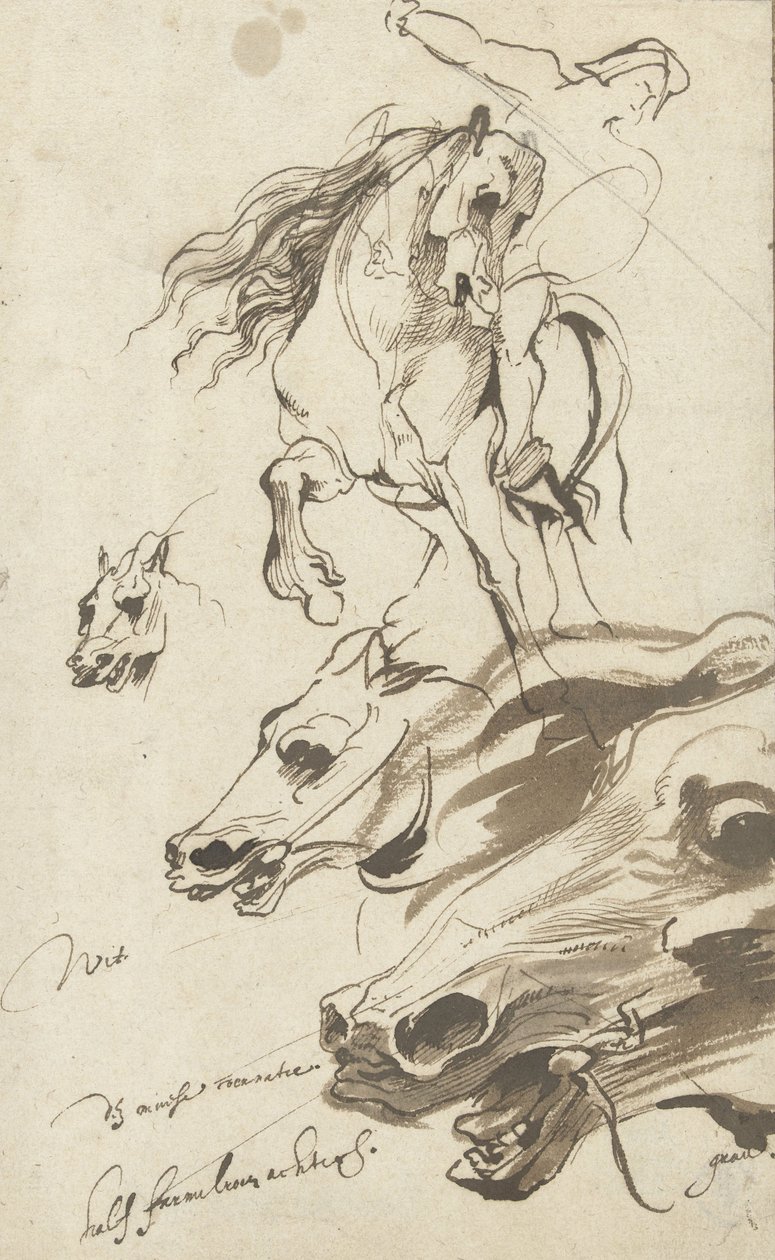 Studium jeźdźca i głowy konia, 1620-1 (pióro i wc na papierze) autorstwa Anthony van Dyck