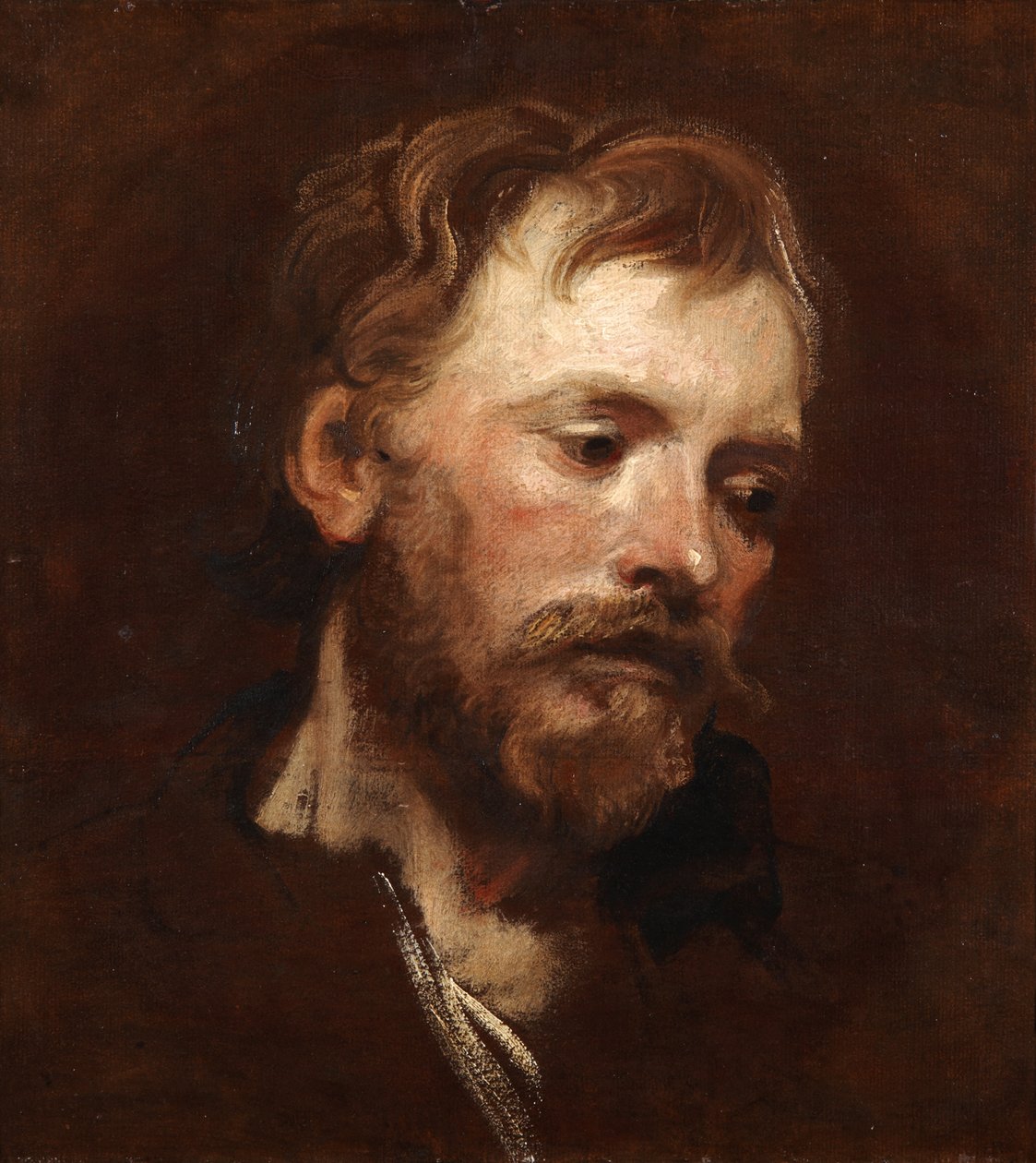 Studium młodego brodatego mężczyzny autorstwa Anthony van Dyck