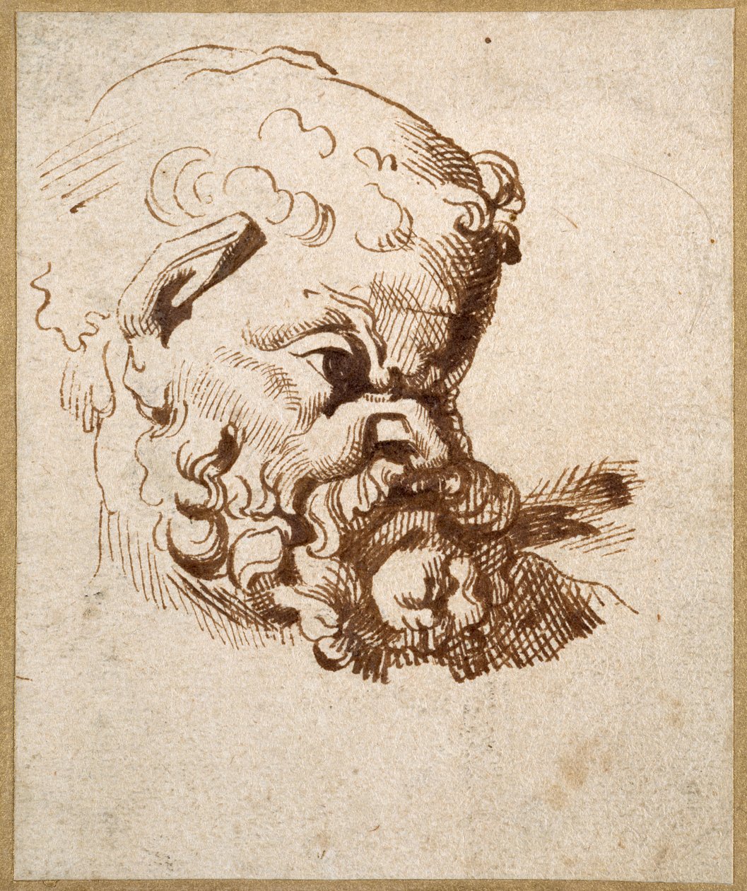 Studium antycznej głowy Silenusa (pióro i atrament na papierze) autorstwa Anthony van Dyck