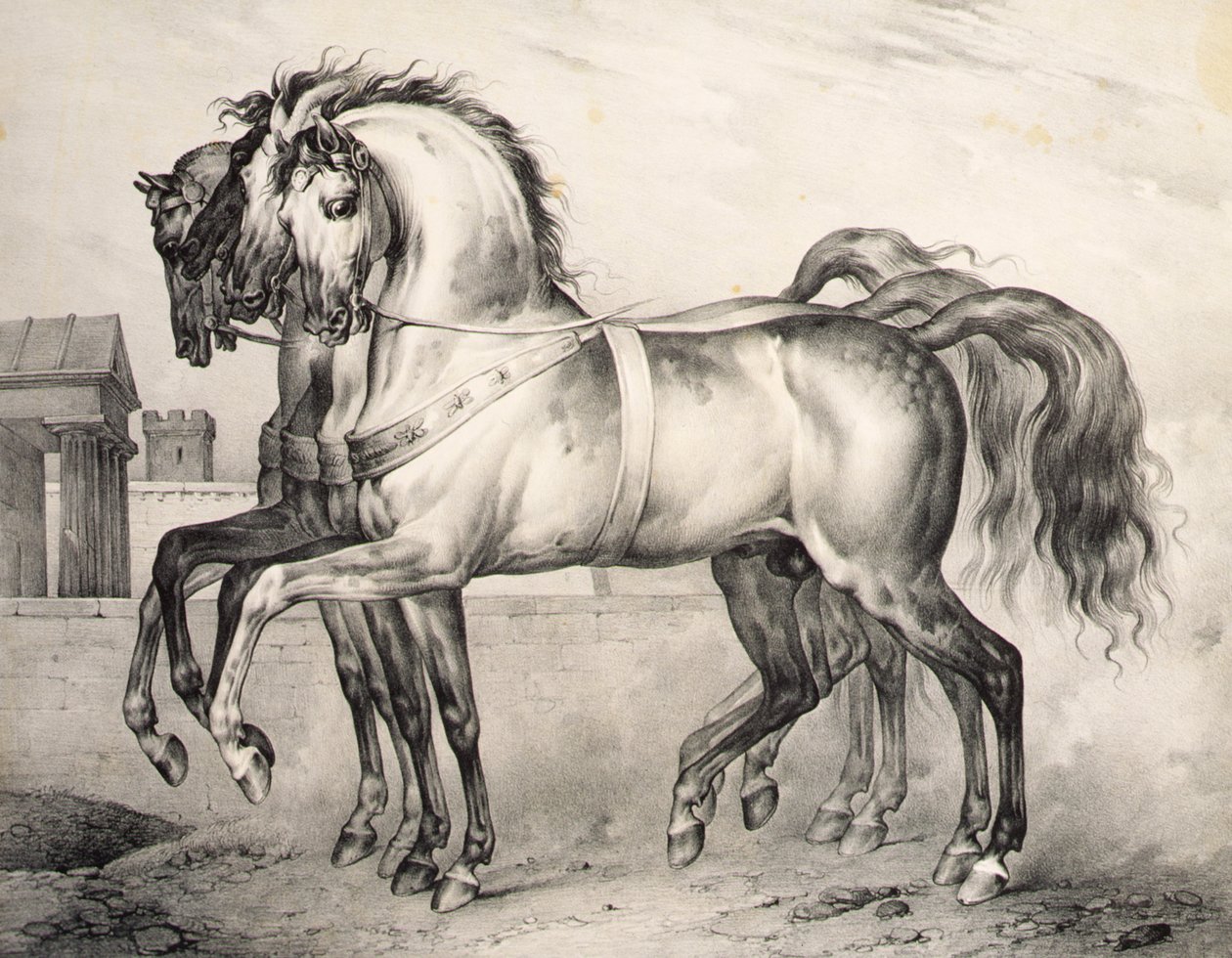 Konie dosiadane przez Ludwika Filipa, księcia Orleanu w bitwie pod Valmy, rytowane przez Wiktora Adama (1801-66) ok. 1834-38 (lit) autorstwa Antoine Charles Horace Vernet