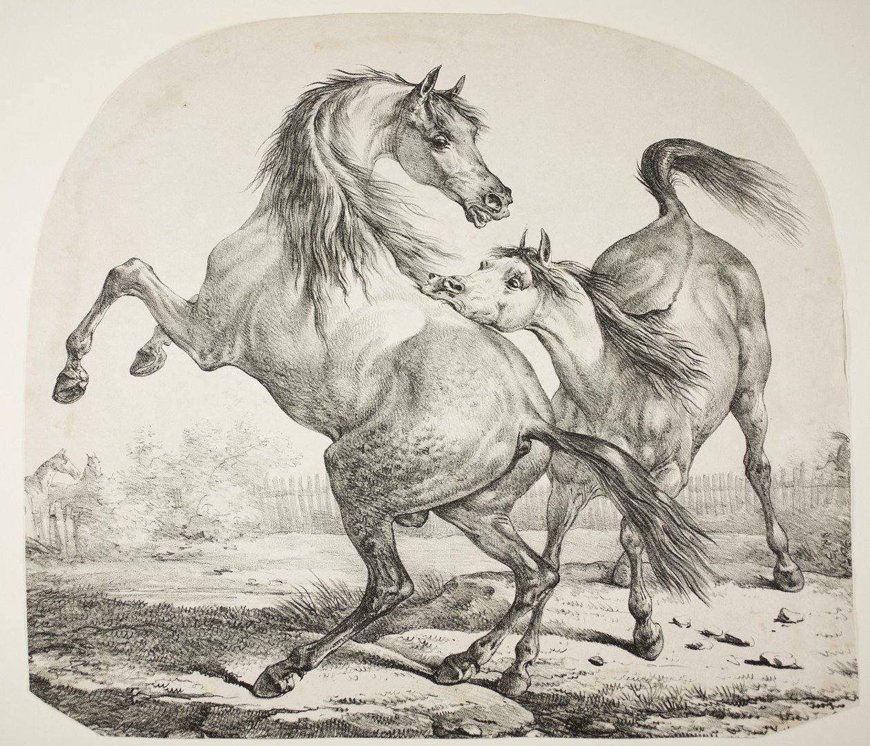 Walka dzikich koni, ok. 1820 r. autorstwa Antoine Charles Horace Vernet