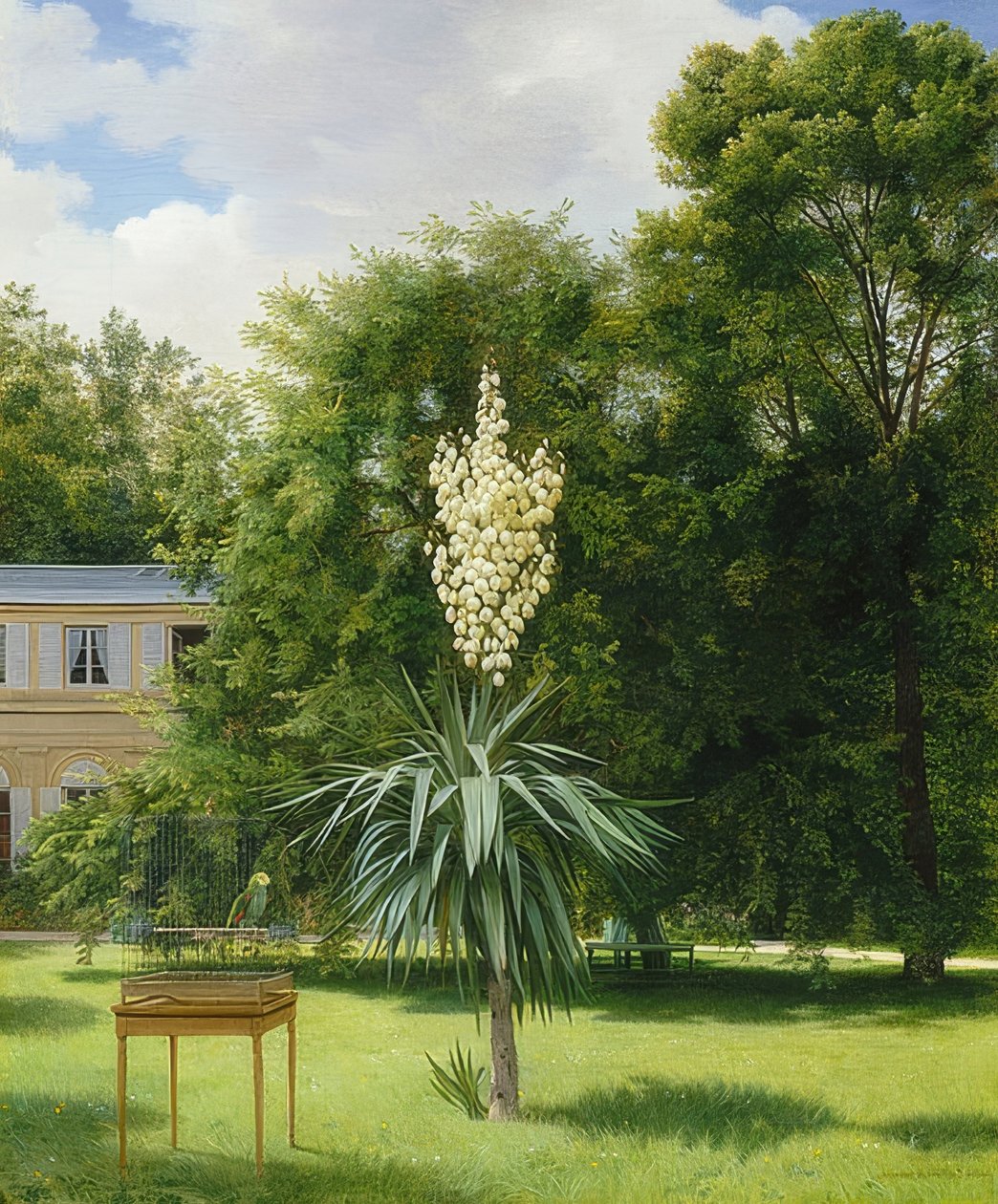 Palma jukki w parku w Neuilly. 1845 autorstwa Antoine Chazal
