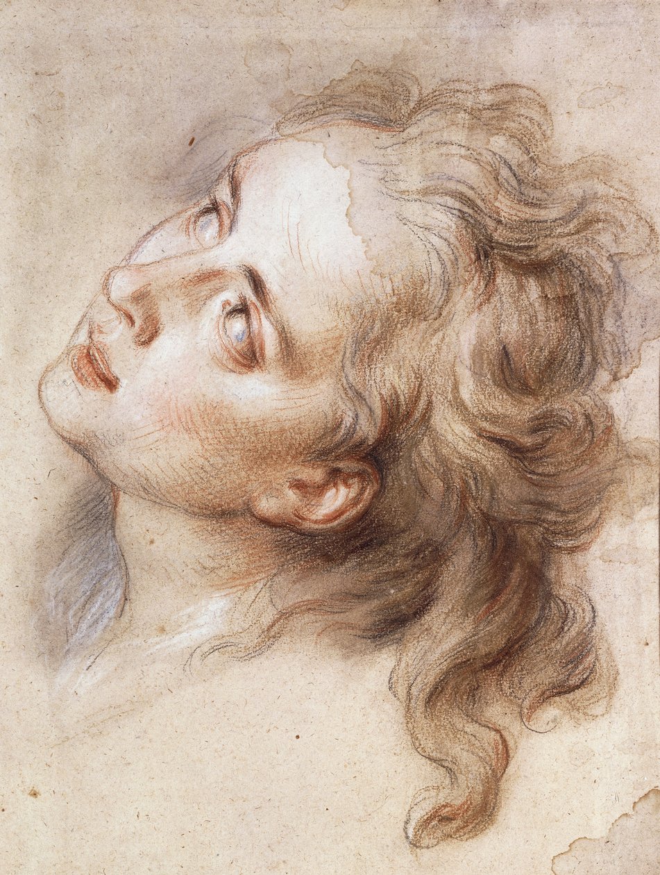 Głowa Anioła, patrząca w lewo, autorstwa Antoine Coypel