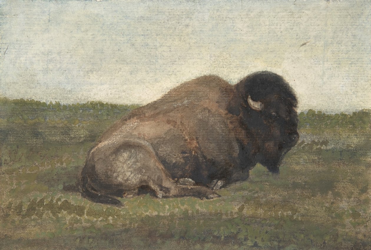 Leżący bizon, 1810-75. autorstwa Antoine Louis Barye