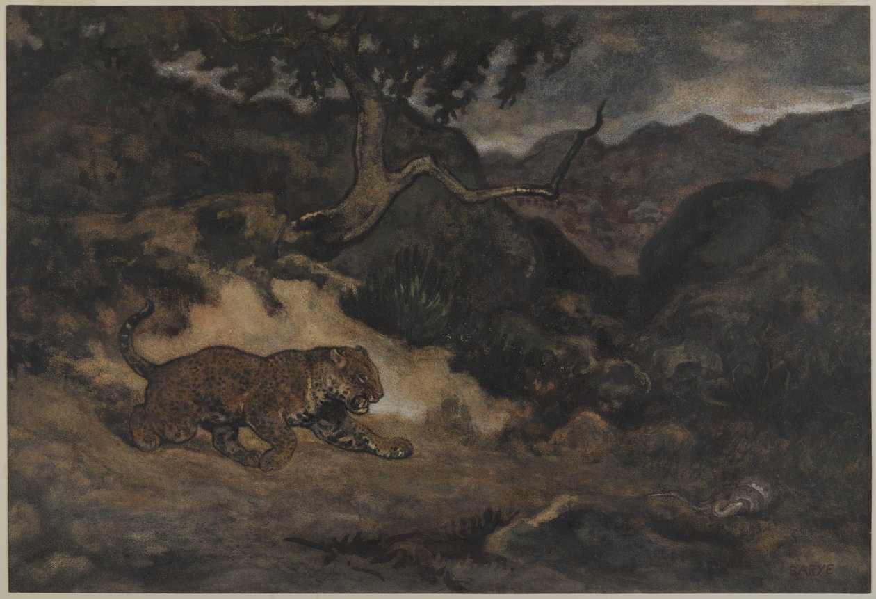 Jaguar Odkrywający Węża, ok. 1840 (wc na papierze) autorstwa Antoine Louis Barye