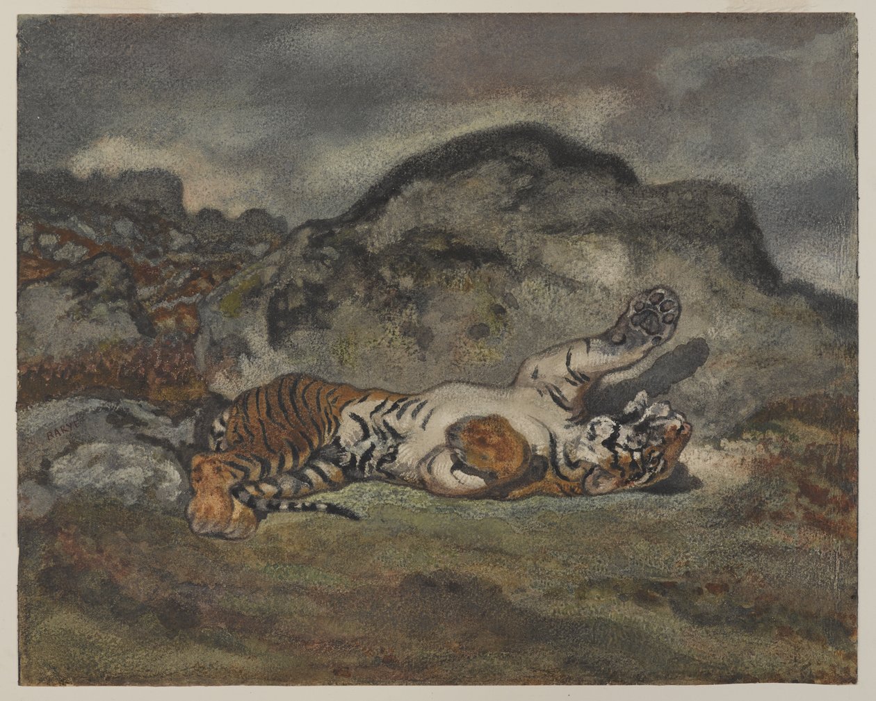 Rolling Tiger, ok. 1840 (wc na papierze) autorstwa Antoine Louis Barye