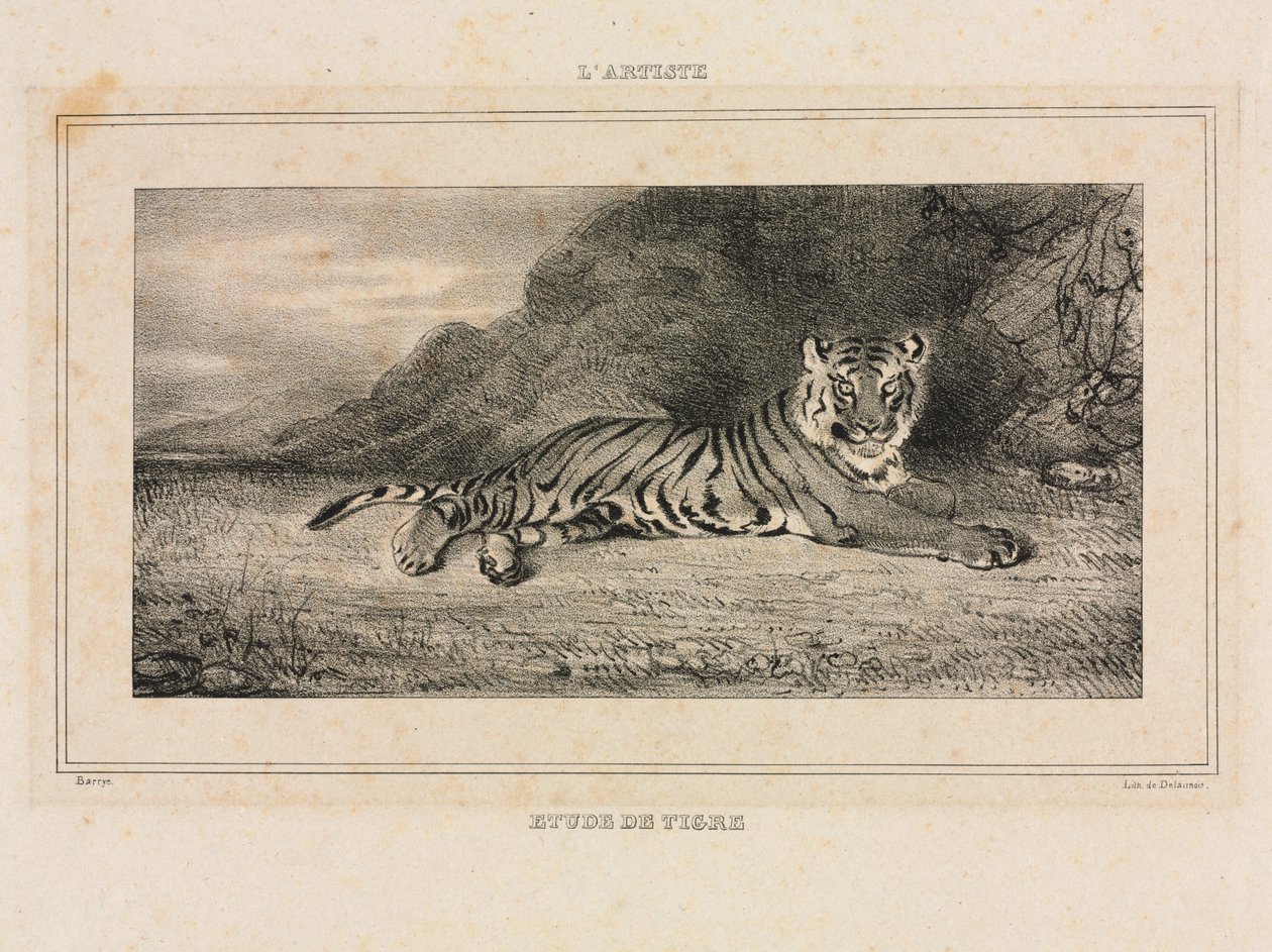 Studium Tygrysa, 1832. autorstwa Antoine Louis Barye