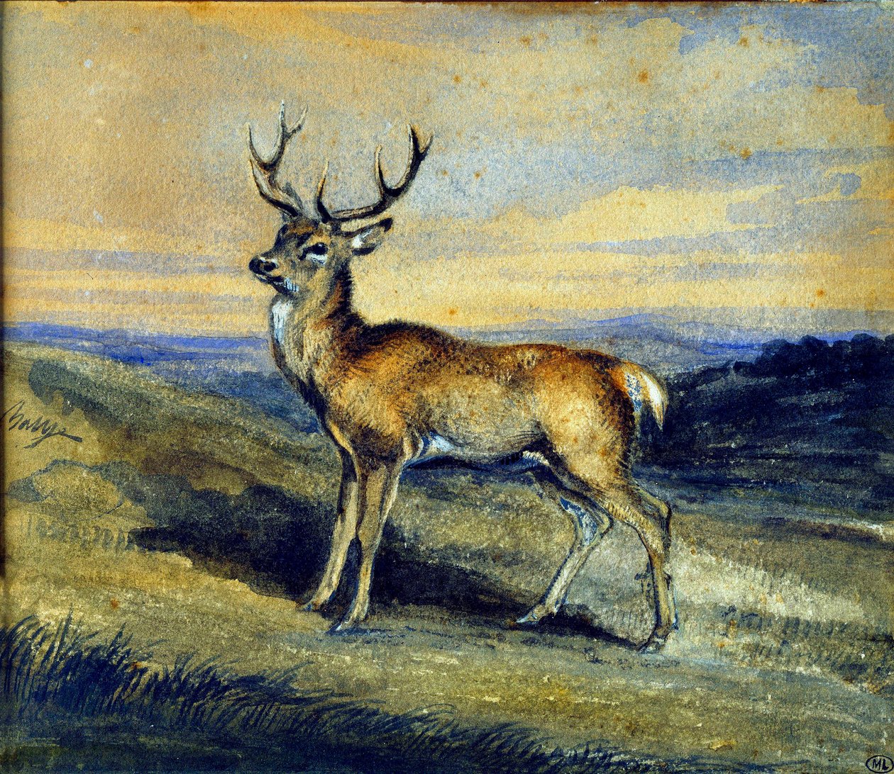 Jeleń. Obraz Antoine Louis Barye autorstwa Antoine Louis Barye