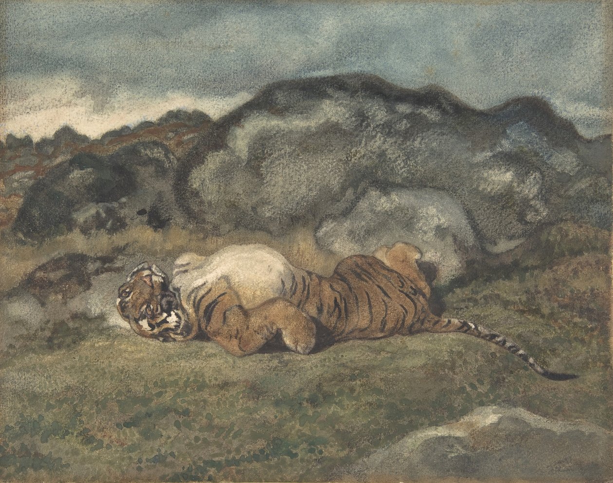Tygrys toczący się na grzbiecie, 1810-75. autorstwa Antoine Louis Barye