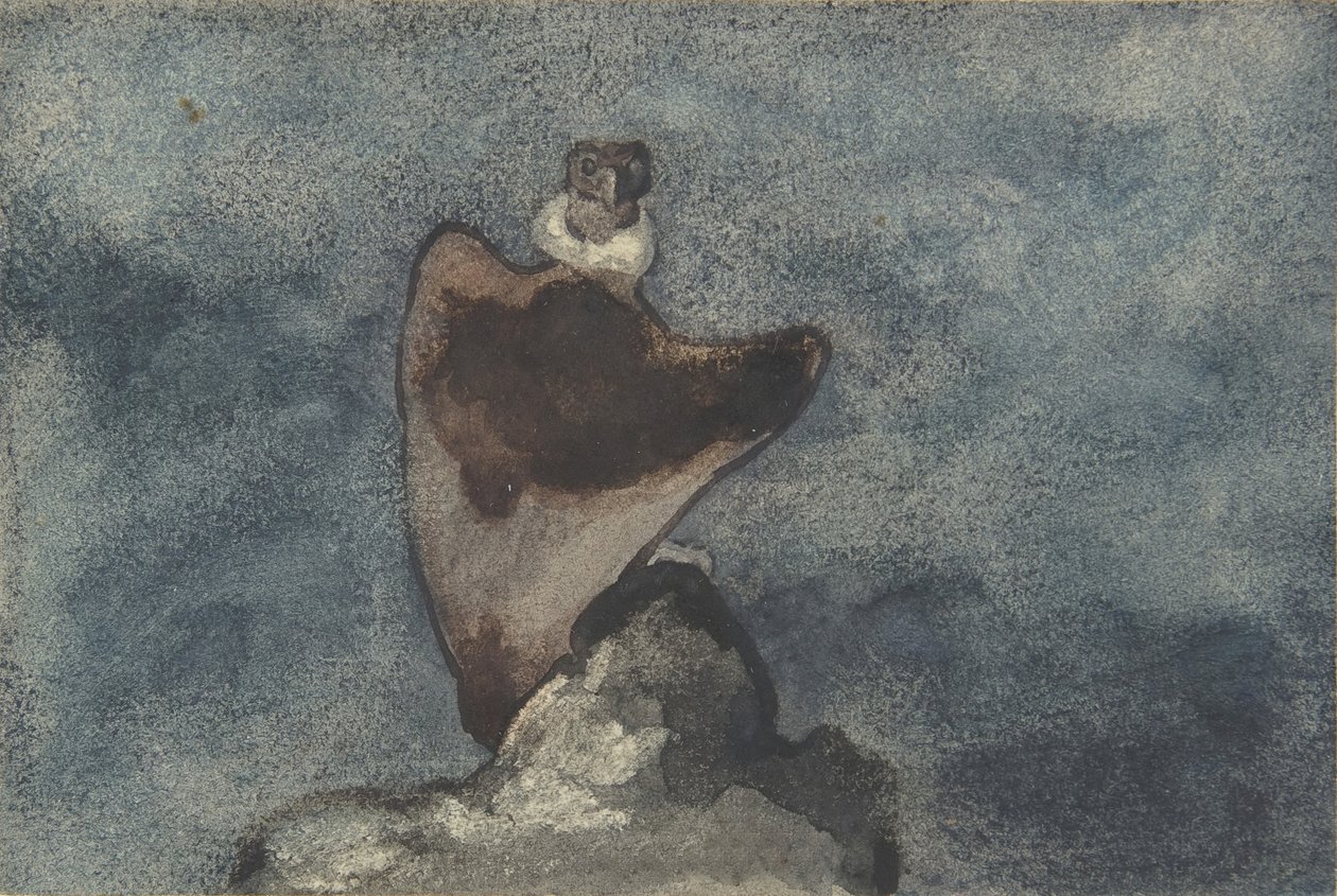 Sęp, 1810-75. autorstwa Antoine Louis Barye