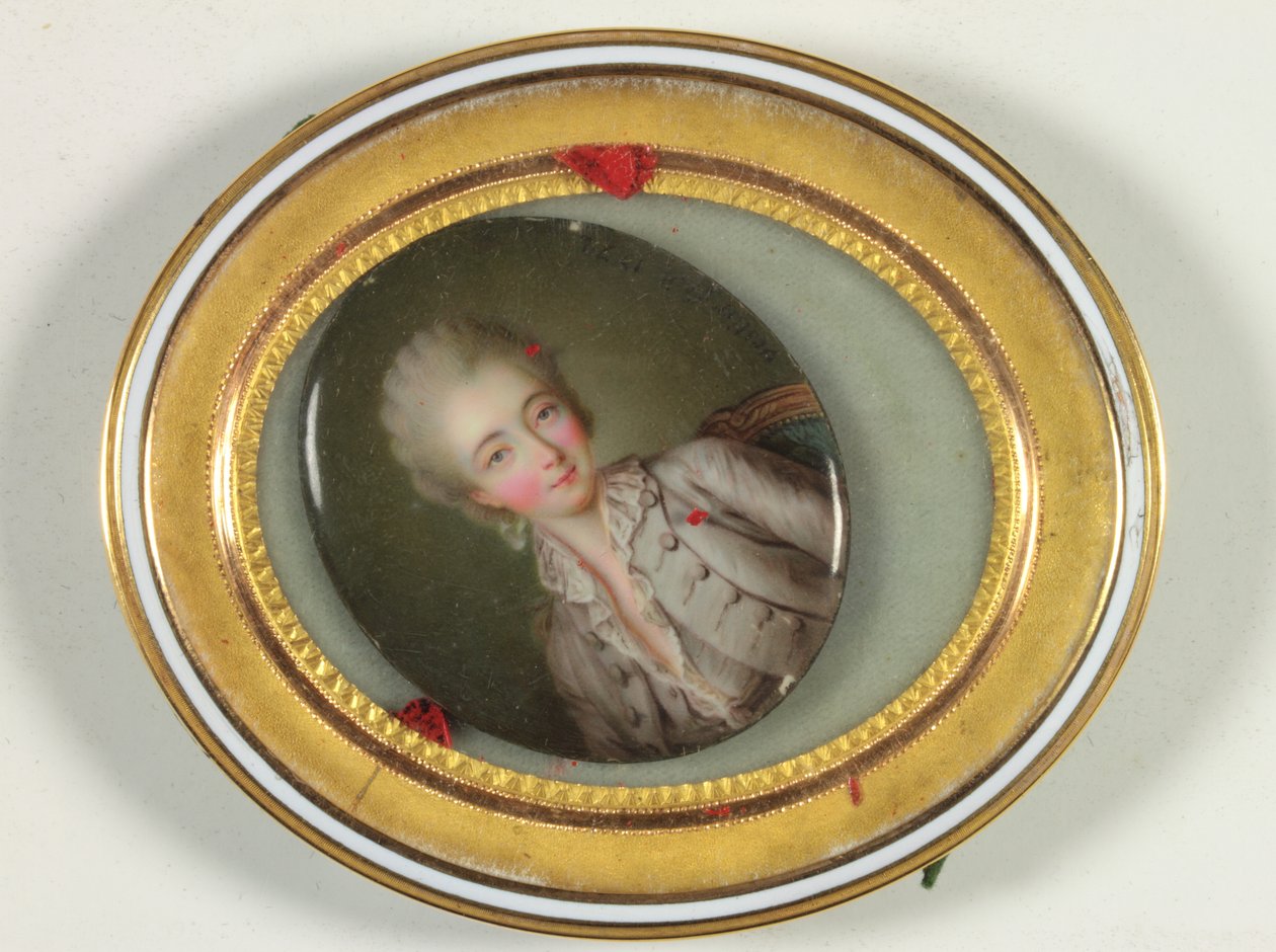 Hrabina Barry autorstwa Antoine Vestier