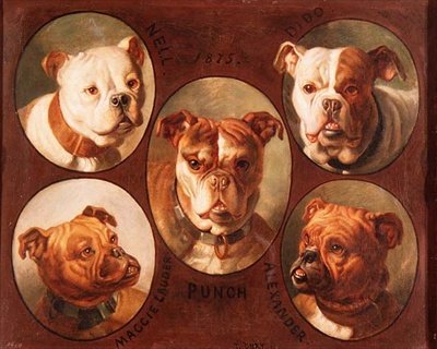 Nell, Dido, Punch, Maggie Lauder i Alexander, Buldogi Angielskie autorstwa Antoine or Tony Dury