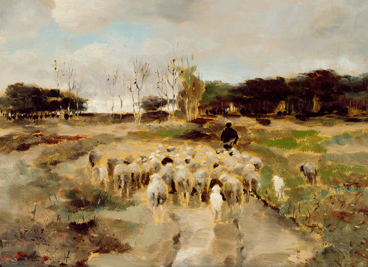 Stado owiec (olej na papierze) autorstwa Anton Mauve
