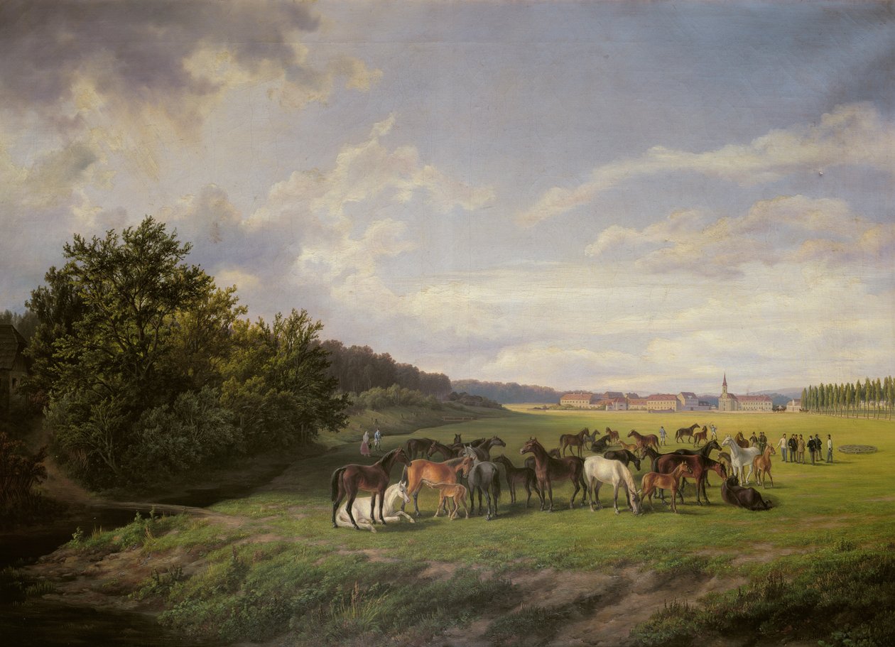 Widok na stadninę Kladrub w Czechach, 1850 autorstwa Anton Schiffer