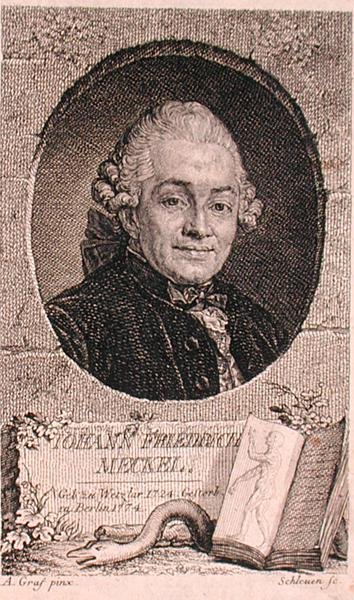 Portret Johanna Friedricha Meckela (1724-76) sztychowany przez Johna Schleuena (fl.1740-74) (grafika) autorstwa Anton (after) Graff