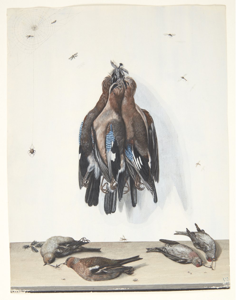Martwa natura z ptakami autorstwa Anton Ignaz Hamilton