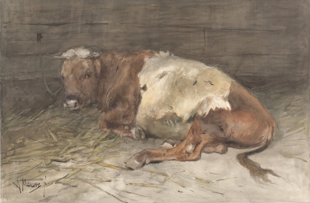 Leżący młody byk autorstwa Anton Mauve