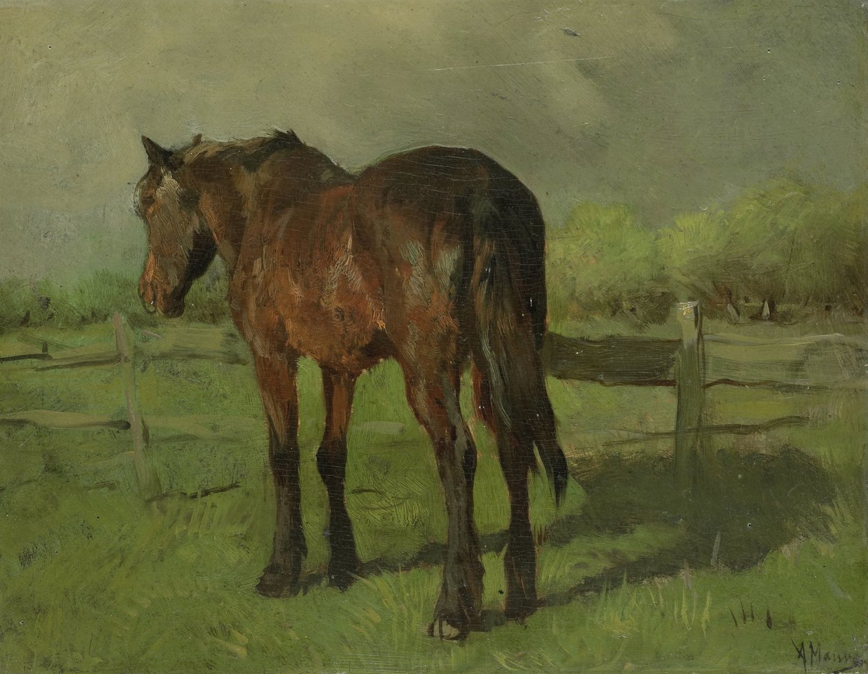 Koń autorstwa Anton Mauve