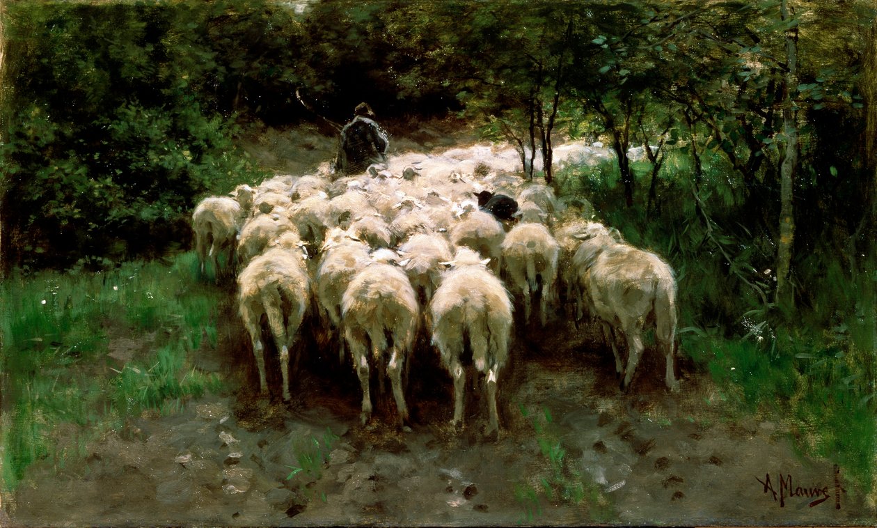 Owce w lesie, XIX w. autorstwa Anton Mauve