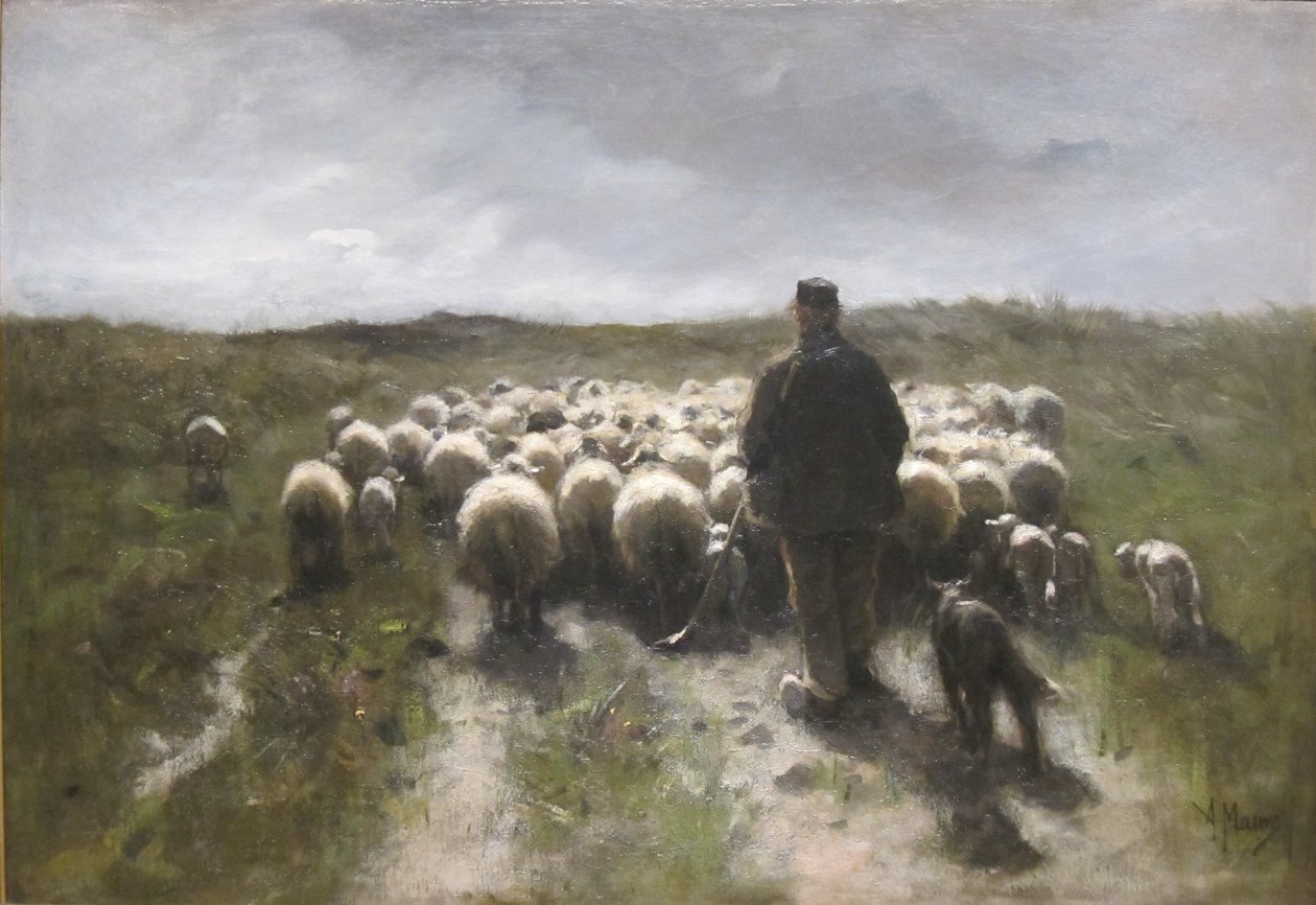 Pasterz i owce autorstwa Anton Mauve