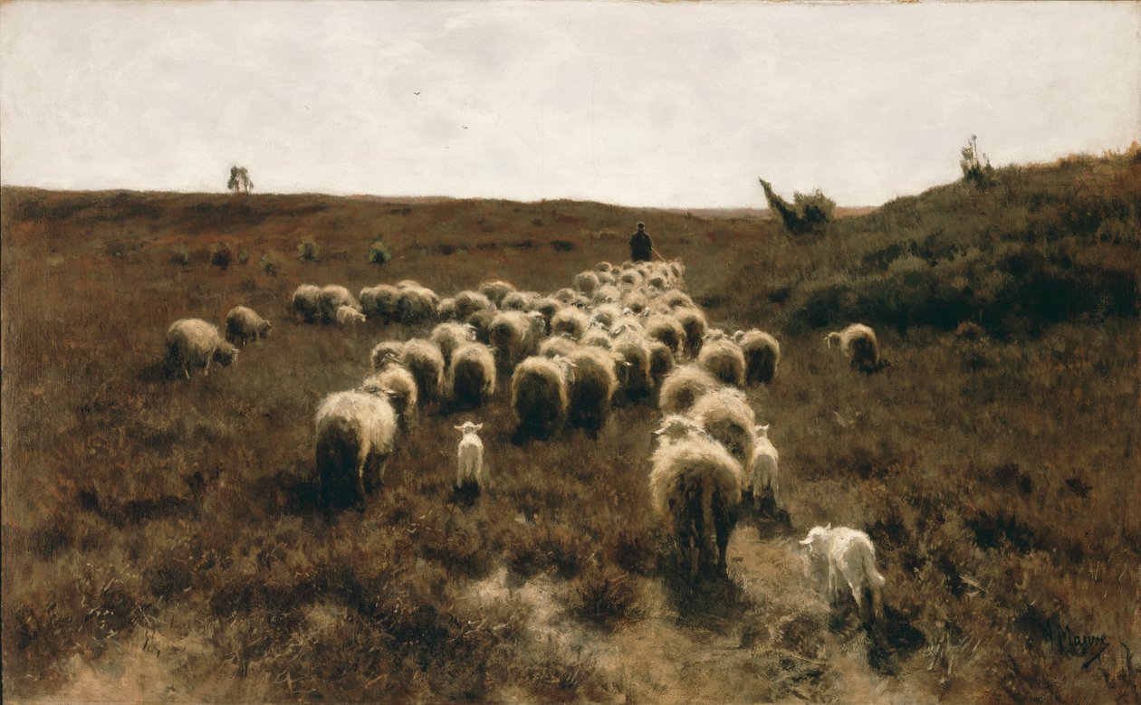 Powrót stada, Laren autorstwa Anton Mauve