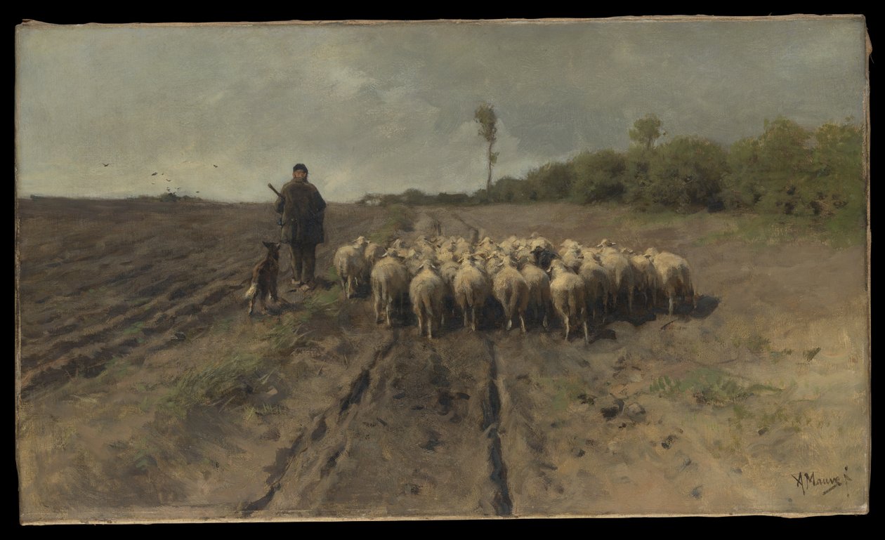 Powrót do owczarni autorstwa Anton Mauve