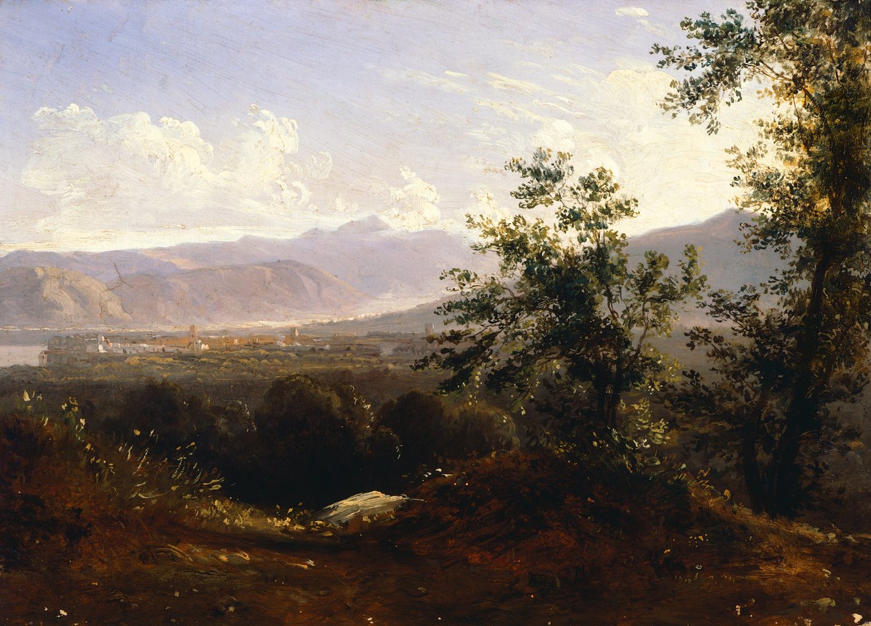 Widok na Sorrento z Przylądka (olej na płótnie) autorstwa Anton Sminck Pitloo