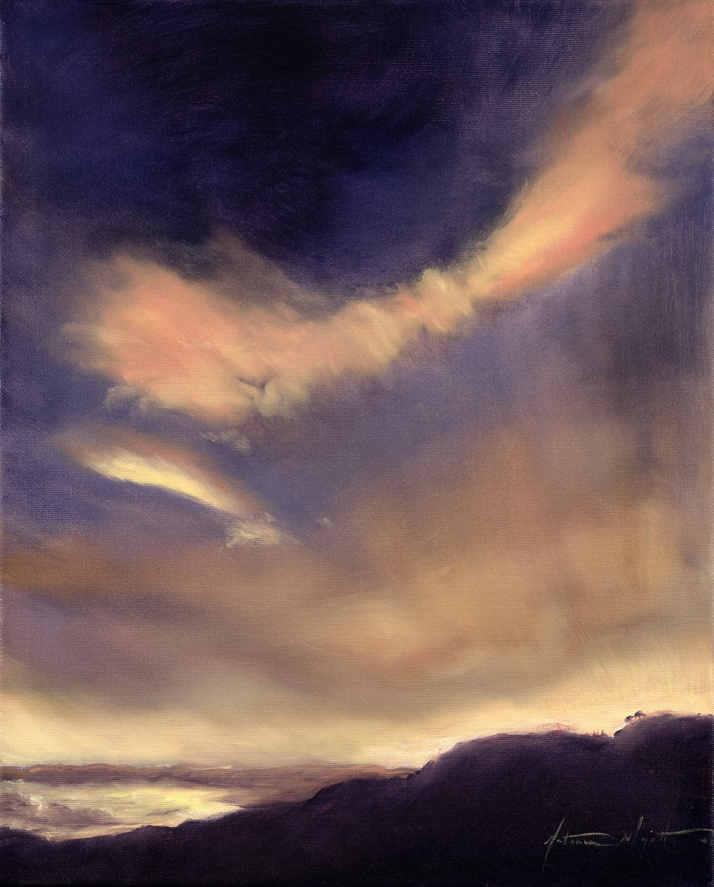 Chmury motyli, 2002 autorstwa Antonia Myatt
