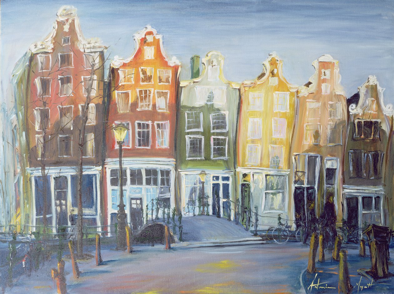 Domy Amsterdamu, 1999 autorstwa Antonia Myatt