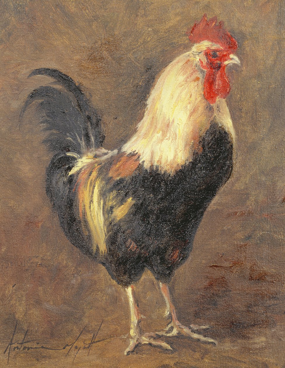 Kogucik, 1999 autorstwa Antonia Myatt