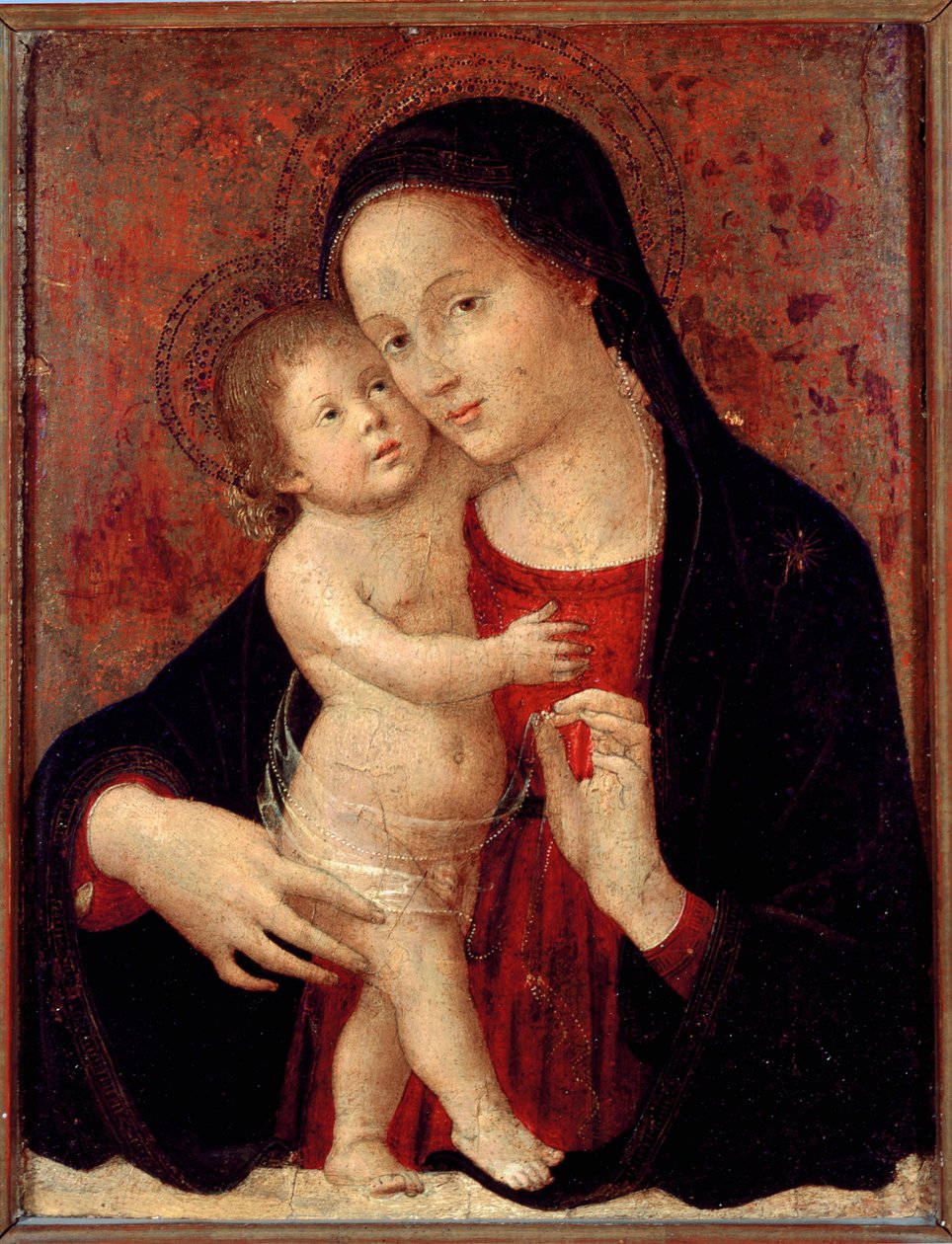 Dziewica z Dzieciątkiem Obraz na drewnie Antonio Aquili dit Antoniazzo Romano (aktywny ok. 1461-1508) niedz. 46x37 Genes, Galleria di Palazzo Bianco autorstwa Antoniazzo Romano