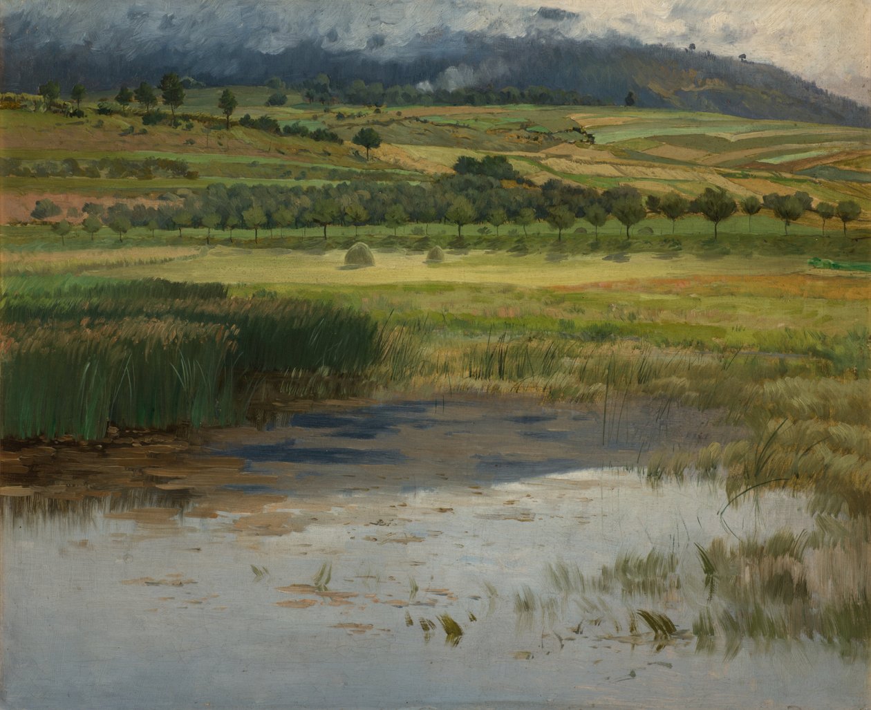 Zatopiony staw, 1887 r. autorstwa Antonin Chittussi