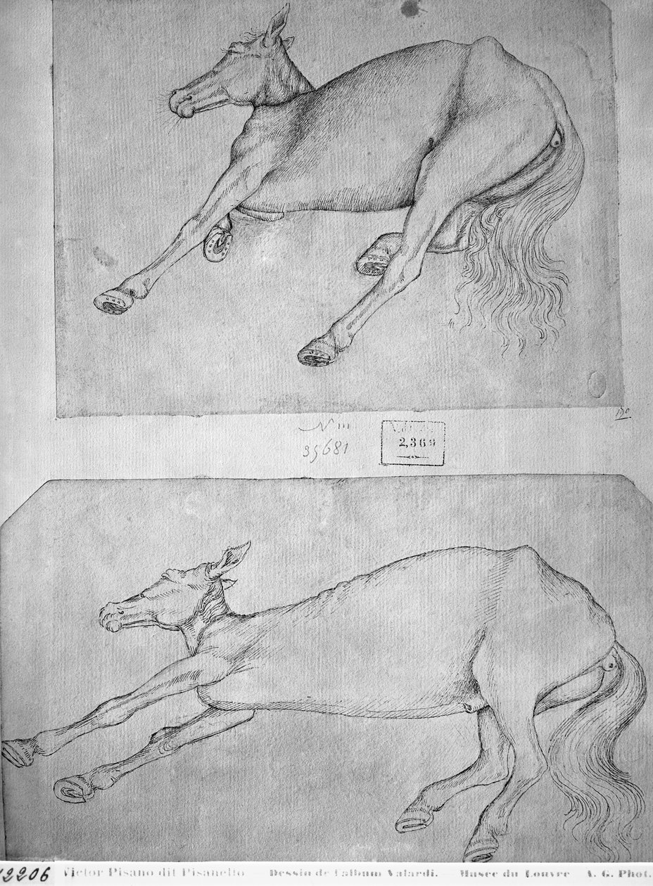 Martwe konie, z albumu Vallardi autorstwa Antonio Pisanello