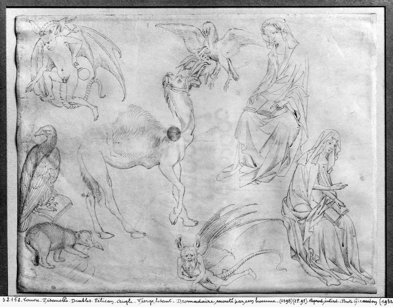 Arkusz studiów, z albumu Vallardi autorstwa Antonio Pisanello
