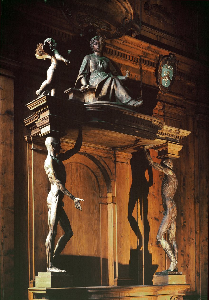 Posągi dwóch nagich i pozbawionych skóry mężczyzn, znanych jako gli spellati (oskórowani), teatr anatomiczny autorstwa Antonio (d.1663) Paolucci