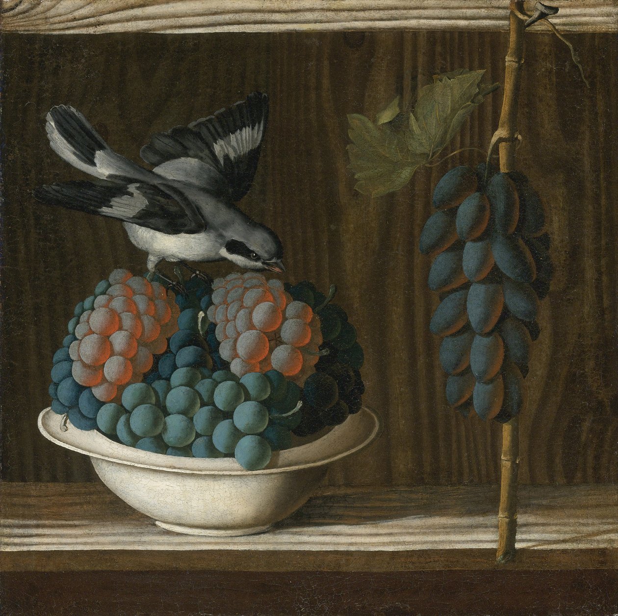 Martwa natura z winogronami i szarą dzierzbą (alegoria malarstwa) Leonelli (da Crevalcore), Antonio (ok. 1450-przed 1525). olej na płótnie, format: 40x39,7, ok. 1500, prywatne autorstwa Antonio (fl.1478 1513) Leonelli